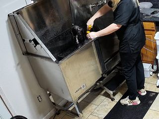 Live camera view of the Bath &amp; spa suite at Fur Majesty