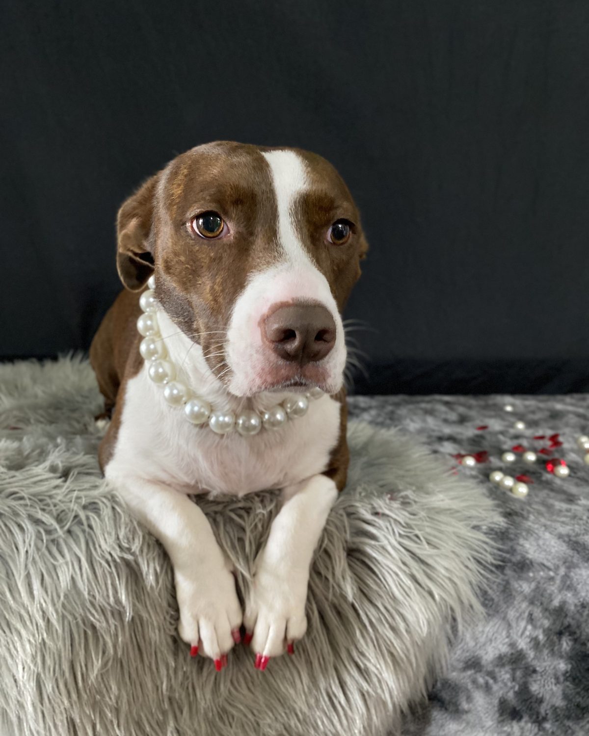 Dressed in pearls, fresh from the royal bath