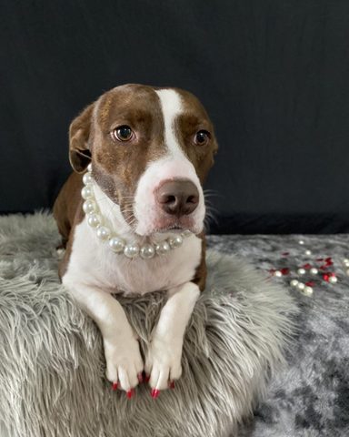 Dressed in pearls, fresh from the royal bath