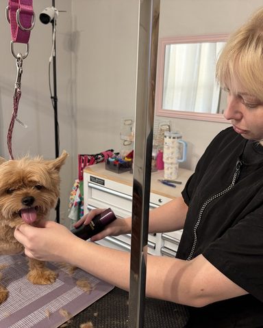 A precision face trim, by royal appointment